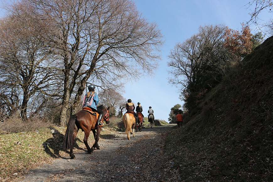 Vytina Horse Club - Ιππασία και Βόλτες με τα άλογα στην ύπαιθρο